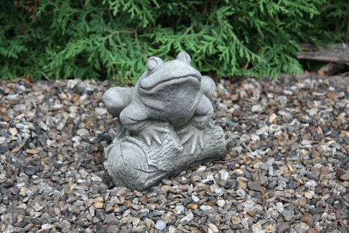 KA111 Frog on Log KA111 Frog on Log